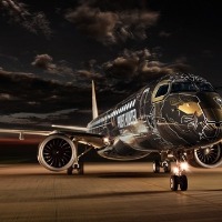 Big birds from Airbus, Embraer steal the show at Wings India