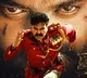 Tollywood Heroes and Directors Response