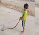 Kid Plays Dangerously With A Highly Venomous Snake Video Goes Viral