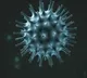 Telangana corona daily update