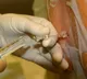 Yadadri Govt Doctors Left Women In Middle Of Family Planning Operation