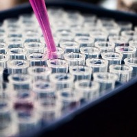 Scientists develop new combo treatment for head and neck cancer