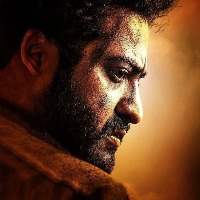 'RRR': 'Komaram Bheemudo' was a 'blood and sweat' project for Jr NTR