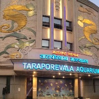 Mumbai to get swank world-class aquarium-cum-tourism plaza