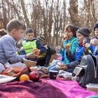 Schools in Kyiv continues teaching via online