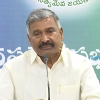 YSRCP will win more seats in coming elections says Peddireddy Ramachandra Reddy