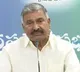 YSRCP will win more seats in coming elections says Peddireddy Ramachandra Reddy