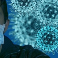 ap corona cases updates