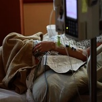 Rats bite patient in Telangana's government hospital