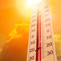 Severe heat wave conditions grip Telangana