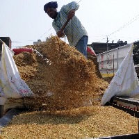 TRS to intensify protest against Centre over paddy