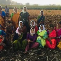 Sai Pallavi Turns Out To Be Farm Wager