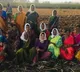 Sai Pallavi Turns Out To Be Farm Wager