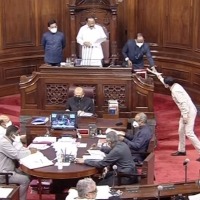 Govt likely to introduce Bill in RS to amend laws governing CAs, company secretaries