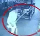 AP MLA Sridevi followers attacked amakathadu toll plaza staff