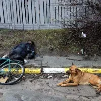 Dog refuses to leave side of owners body in Kyiv