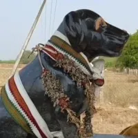 Tamilnadu man built temple for his dog