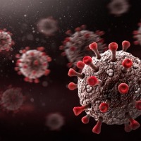 South African woman first to test positive for XE Covid variant in India