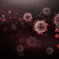 Health Ministry denies detection of XE variant in India