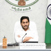 jagan comments on chandrababu in cabinet meeing