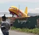 cargo plane accident