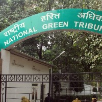 NGT seeks report on plea against marble slurry dumping in Andhra