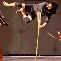 Pawan Kalyan fighting sequences video from Harihara Veeramallu