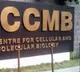 Statins can induce changes in architecture of cells reveals CCMB