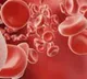 Blood markers of health Tips to boost haemoglobin levels in the body
