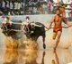 Nishant Shetty set new record in Kambala sport