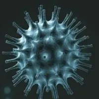 India reports 796 fresh corona cases