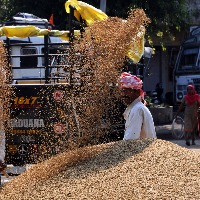 No end to politics over paddy in Telangana