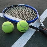 Telangana: VROs, VRAs asked to 'attend work' when collector plays tennis!