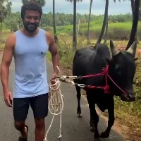Suriya extends Tamil new year greetings as he walks his bull in video clip