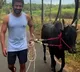Suriya extends Tamil new year greetings as he walks his bull in video clip