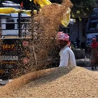 telangana officians stopped ap Grain lorries