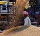 telangana officians stopped ap Grain lorries