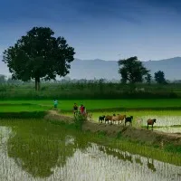 IMD predictions on monsoon season