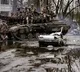 Russia claims full control of urban area of Mariupol
