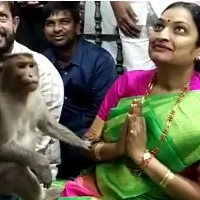 Monkey accompanied AP minister Usha Sri Charan at Kasapuram Anjaneya Swamy temple