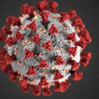 Five more corona cases in AP