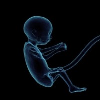 Inhaled nanoparticles can enter placenta, affect foetus: Study