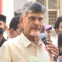 Gangr*pe at Vijayawada govt hospital is shame to AP: Chandrababu
