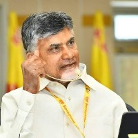 TDP chief voices concern over growing atrocities on women