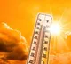 IMD issues four day heat wave warning for Andhra Pradesh