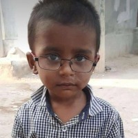 Stray dogs maul child to death in Hyderabad