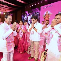 India needs torch bearer like KCR as its leader: TRS