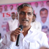 Telangana govt will release job calendar soon, says Minister Harish Rao