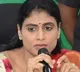 sharmila slams kcr ktr