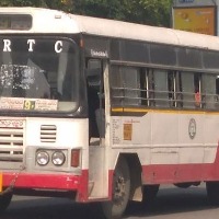 Bus pass concession to jobless youth